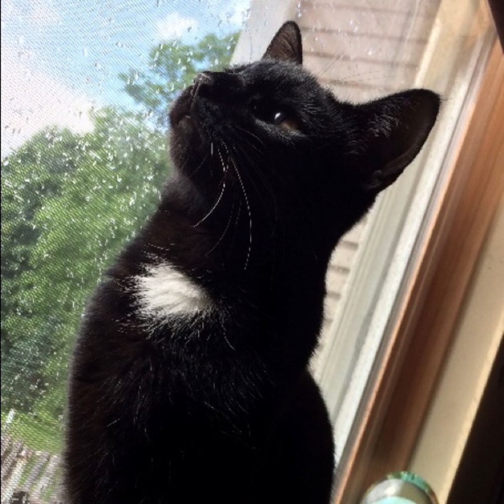 Meet your Posher, Jackie